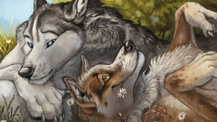 Paintings Animals Dogs furry