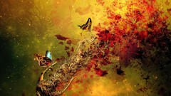 Paintings artistic artwork Butterflies