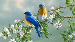 Paintings Flowers Birds