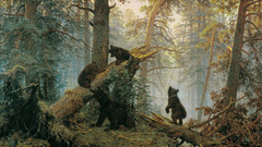 Paintings forests Bears Ivan