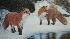 Paintings foxes