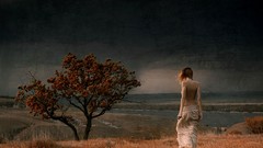 Paintings Landscapes nature