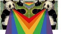 Paintings multicolor panda bears