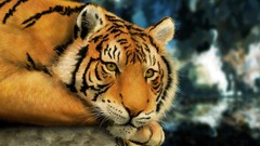 Paintings nature Animals digital