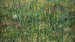 Paintings nature grass Plants