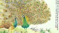 Paintings Peacocks