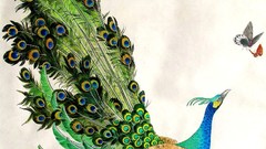 Paintings Peacocks