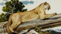 Paintings puma feline artwork