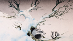 Paintings Roger Dean