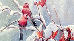 Paintings snow Birds