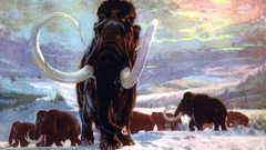Paintings snow mammoth prehistoric
