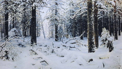 Paintings snow Trees forests