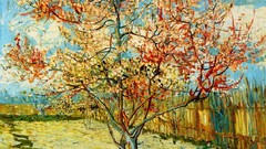 Paintings Vincent van Gogh