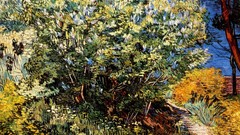 Paintings Vincent van Gogh