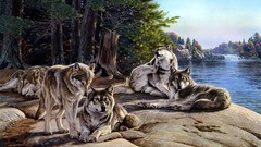 Paintings Wolves lakes sunbathing artwork