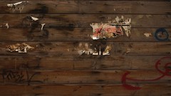 Paintings Wood grunge