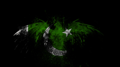 Pakistan black background Eagles