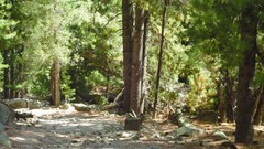 Pakistan nanga parbat Fairy Meadows