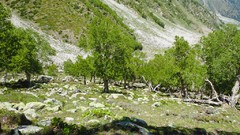 Pakistan nanga parbat Fairy Meadows