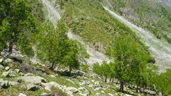 Pakistan nanga parbat Fairy Meadows