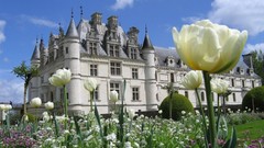 Palace Castles buildings