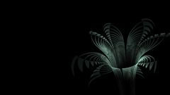 Palm black tree abstract high Resolution