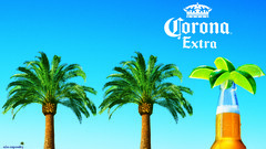 Palm bottlesmall most of