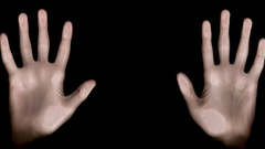 Palm hands multiscreen