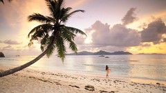 Palm paradise Seychelles Beaches skies