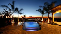 Palm trees architecture swimming pools