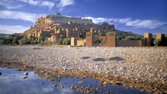 Palm trees atlas shore morocco
