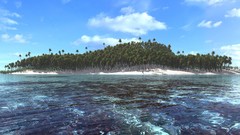 Palm trees Beaches water