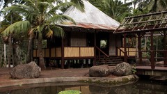 Palm trees bungalow tropical