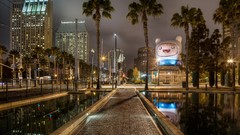 Palm trees cityscapes