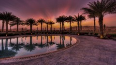 Palm trees HDR Photography swimming pools