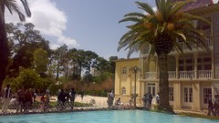 Palm trees historic iran shiraz