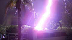 Palm trees Lightning