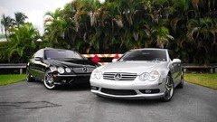 Palm trees Mercedes-Benz luxury