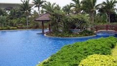 Palm trees Sea water