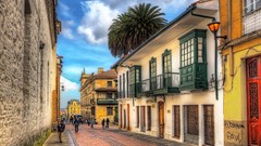 Palm trees streets cityscapes colombia HDR Photography towns