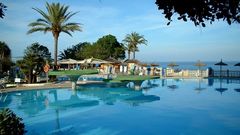 Palm trees swimming pools