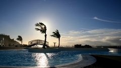 Palm trees swimming pools