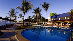 Palm trees swimming pools