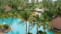 Palm trees swimming pools