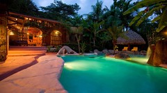 Palm trees swimming pools