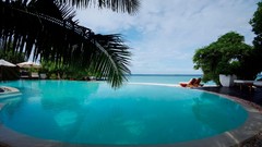 Palm trees swimming pools