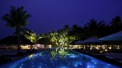 Palm trees swimming pools