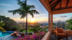 Palm trees swimming pools