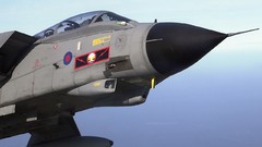 Panavia tornado Aircraft military