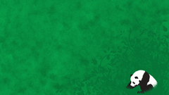 Panda Bear abstract Textures